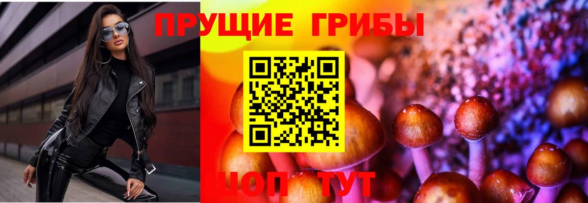 Псилоцибиновые грибы Magic Shrooms  где продают наркотики  Вход с VPN  Волжский  Галлюциногенные грибы Cubensis 